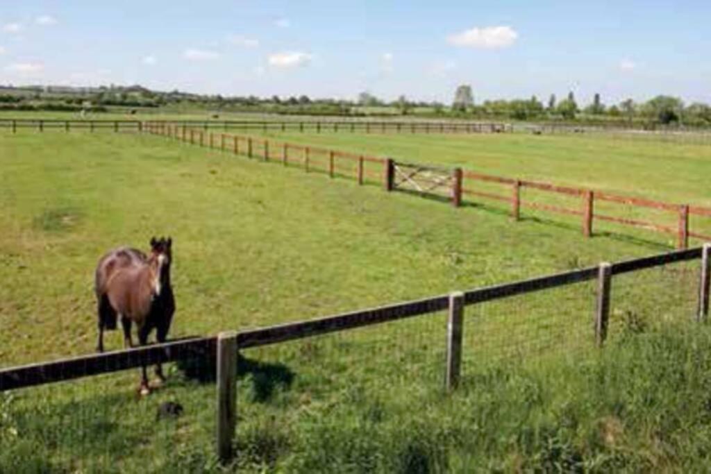 The Sunshine Annex At Lower Fields Farm Apartment Napton on The Hill Exterior photo